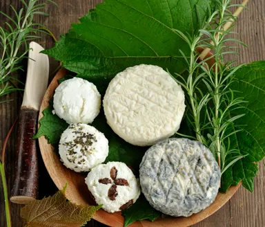 「十勝シェーブル炭」他人気の「山羊チーズ」(価格：オープン価格)