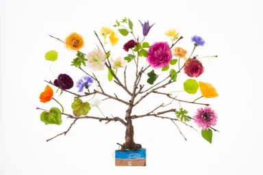 作品展ビジュアルイメージ