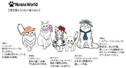 「Nyans World」【個性豊かな5匹の猫の紹介】