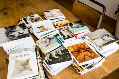 ねこの表情がたまりません