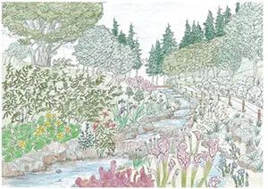 湿生植物区イメージスケッチ