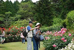 ローズウオーク写真教室　開催時の様子