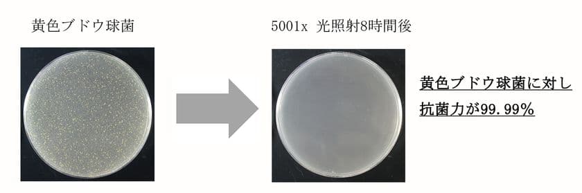 陶板壁材「スーパートライ Wall」
抗菌性光触媒シリーズ発売のお知らせ